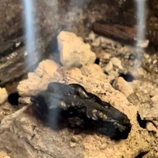 Bois d’agar chauffé pour parfumer